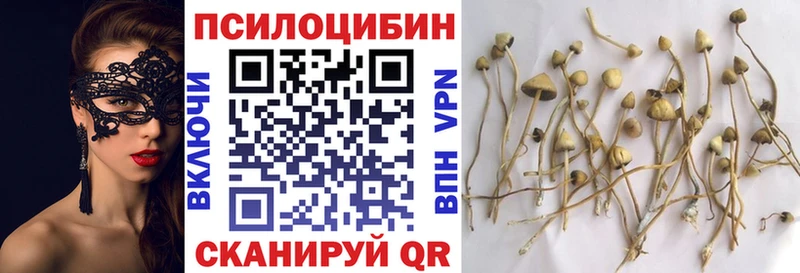 ссылка на мегу ТОР Минусинск Псилоцибиновые грибы GOLDEN TEACHER